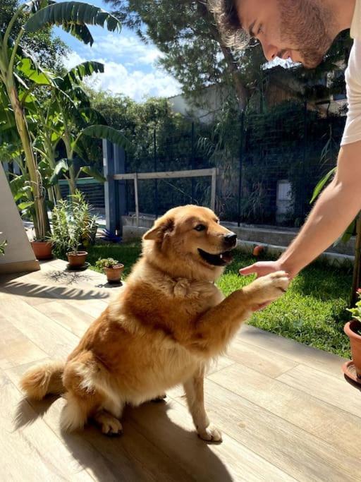 カリーニCasa Woowアパートメント エクステリア 写真