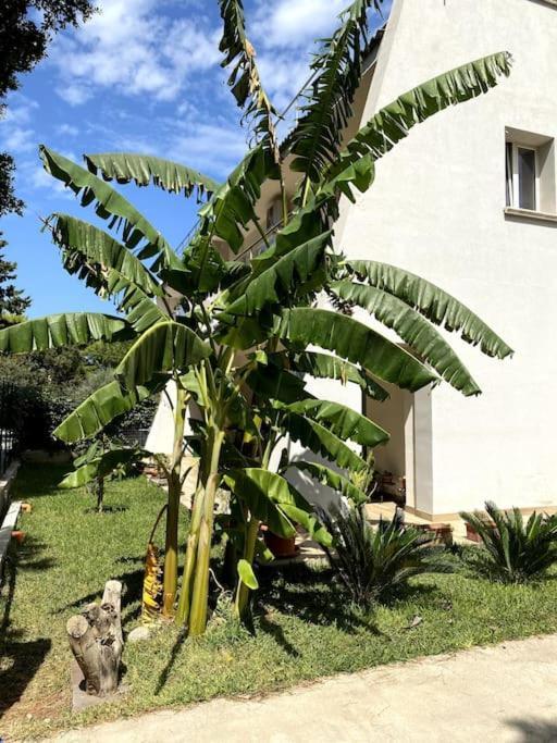 カリーニCasa Woowアパートメント エクステリア 写真